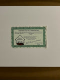 Ted Williams & Stan Musial Signed Autographed Photo Framed 14x17 Green Diamond