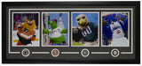 Philadelphia Sports Team Mascots 8x10 Photos 18x40 Frame