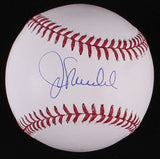 Joe Maddon Signed OML Baseball (Schwartz) Chicago Cubs Manager 2016 World Champs