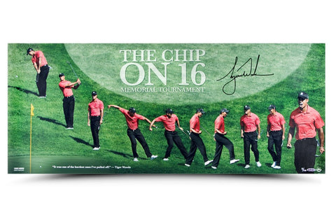 Tiger Woods Autographed The Chip on 16 Picture